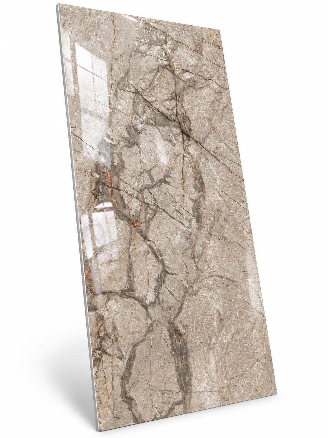 Brasil Verde glans 120x60 cm tegel | €20,- per m2